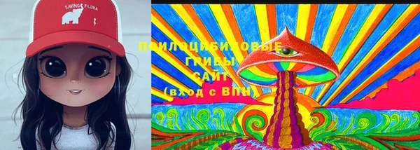 MDMA Каменногорск
