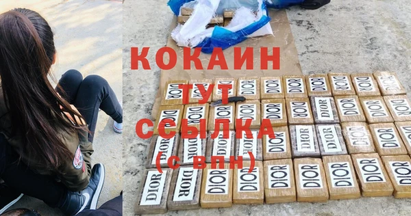дживик Каменск-Шахтинский