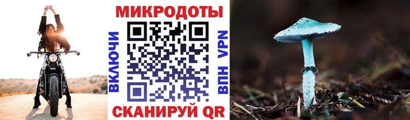 Купить закладки Горняк Галлюциногенные грибы Psilocybe